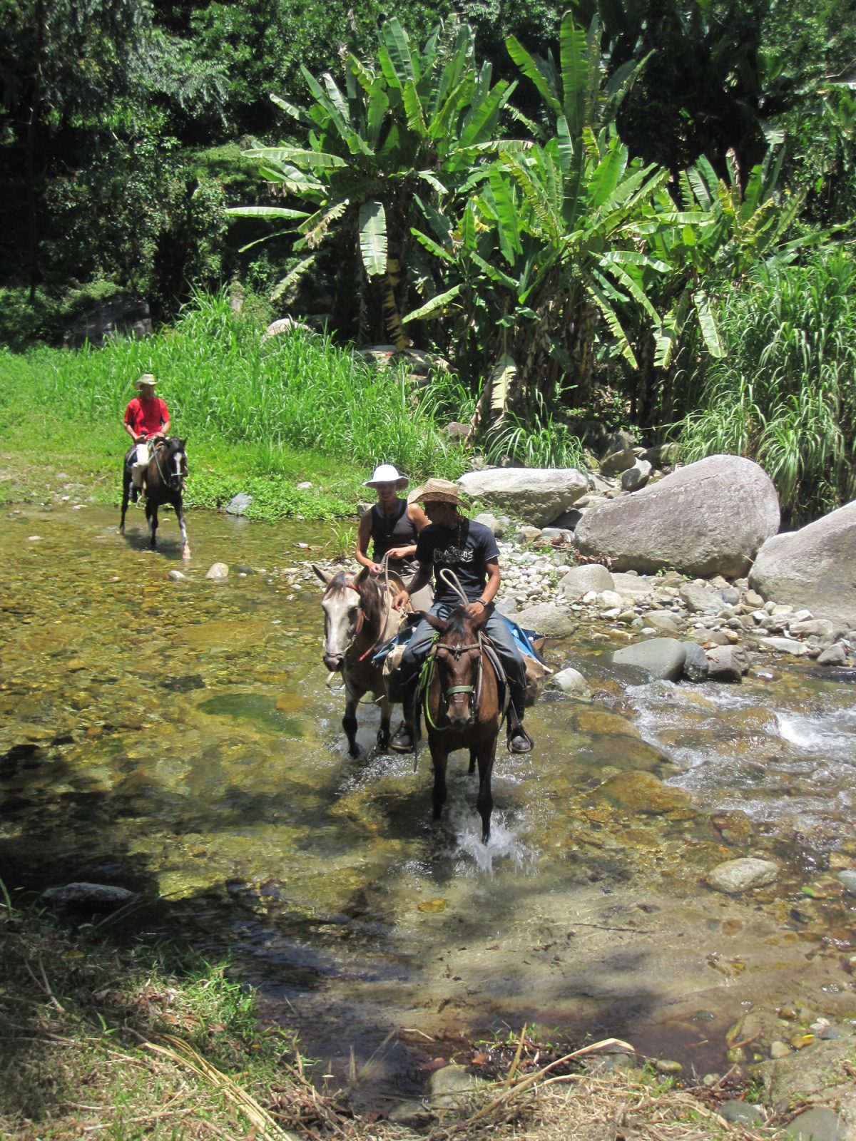 Horseback Riding in the Cangrejal Valley